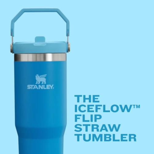 STANLEY IceFlow 2.0 Flip Straw Tumbler with Handle 30 oz | Twist On Lid and Flip Up Straw | Leak Resistant Water Bottle | Insulated Stainless Steel | BPA-Free | Frost