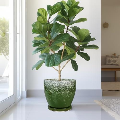 10 Inch Plant Pot - Ceramic Planters for Indoor Plants Outdoor, Large Planter with Drainage Hole and Saucer, Decorative Round Flower Pots, Garden House Decor, Gifts for Plant Lovers, Green
