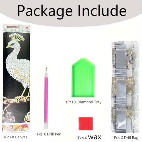 GEMFAMILY Diamond Art Painting Special Shaped Kits for Adults, Eiffel Tower Pearl Diamond Painting Kits for Adults Beginner,DIY 3D Pearl Diamond Dots Gem Art Craft for Home Decor 12 x 16 inch