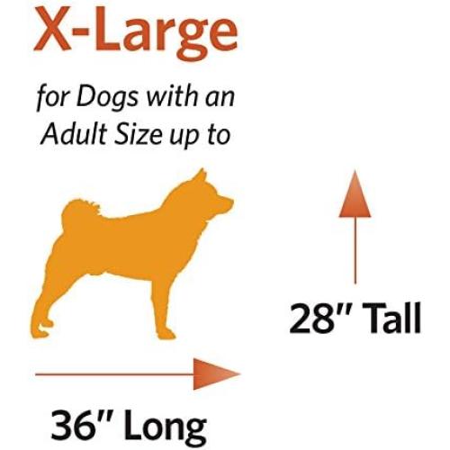 MidWest Homes for Pets 48-Inch iCrate Folding Dog Crate with Divider Panel, Leak-Proof Tray & Secure Latches – Metal Wire Kennel for XL Breeds – Portable, Durable & Easy to Assemble