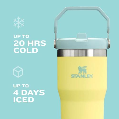 STANLEY IceFlow 2.0 Flip Straw Tumbler with Handle 30 oz | Twist On Lid and Flip Up Straw | Leak Resistant Water Bottle | Insulated Stainless Steel | BPA-Free | Frost