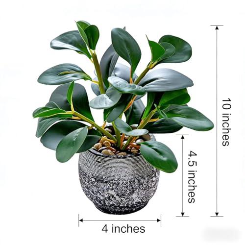 AlphaAcc Small Artificial Ficus in Black Cement Pot Desk Decor