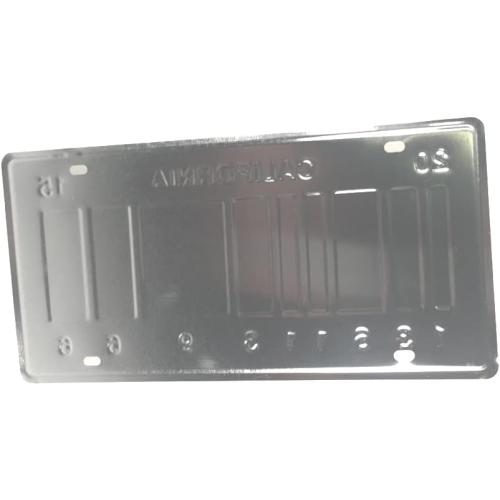 - Replica of the License Plate of the Delorean TIME Machine car from the Movie Back to the Future 2 (59)