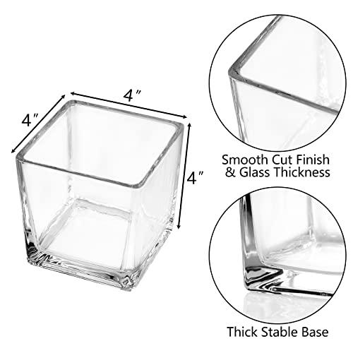 Set of 6 Square Glass Vases 4 x 4 x 4, Clear Flower Vase, Plant Terrarium, Candle Holder for Wedding Centerpiece, Office Decorations, Home Décor, Parties and Events