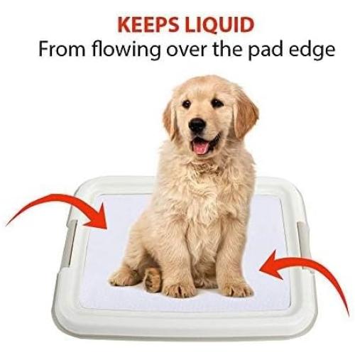 PAWISE Dog Training Pee Pad Holder Tray, Indoor Puppy Potty Pee Pad Floor Tray Dog Toilet, 24''X24', Large