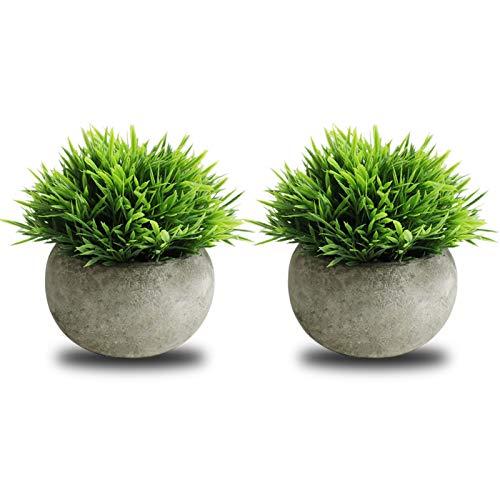 THE BLOOM TIMES 2 Pcs Small Fake Plants for Home Decor Indoor, Artificial Faux Potted Greenery for House Office Decorations