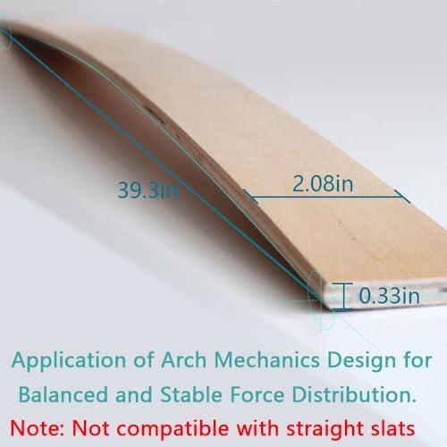 Replacement Slats for Curved Bed Frame Support and Sofa Support System (39.3 x 2.08 x 0.33/10 Pack)