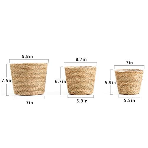 Plant Baskets for Indoor Plants, Seagrass Flower Plant Pots Cover Storage Basket for Organizing,9.8 inch,Brown Set of 3