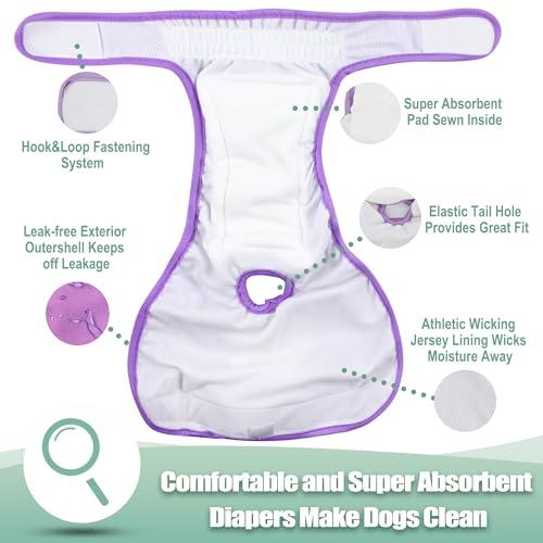 wegreeco Washable Reusable Premium Female Dog Diapers, Small Medium Large Size, Pack of 3,Dog Doggie Puppy & Doggy Diapers Female,Period Panties in Heat (Small)