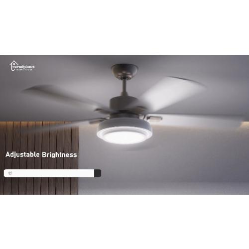 warmiplanet Ceiling Fan with Lights Remote Control, 52 Inch, Brushed Nickel (5-Blades)