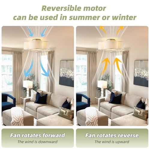 WHITE 20 Boho Ceiling Fan with Light, Rattan Caged Flush Mount Ceiling Fan with Light Remote Control, Enclosed with 6 Speeds for Bedroom, Living Room, Foyer, Nursery (Beige)