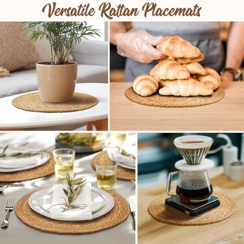 BAVIFY 13 Round Woven Placemats Set of 10, Plate Chargers for Dining Table