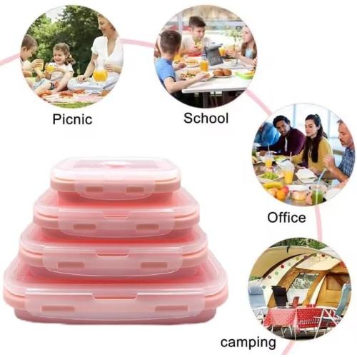 Collapsible Food Storage Containers (pink)