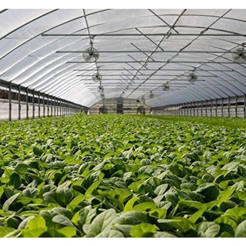 Garden Insect Netting Pest Barrier: 2 Pack 4'x10' Bug Netting for Garden Protection Mosquito Net Fine Mesh Cicada Tree Net Greenhouse Row Cover for Crops Plants Vegetables Flowers Fruits Silver