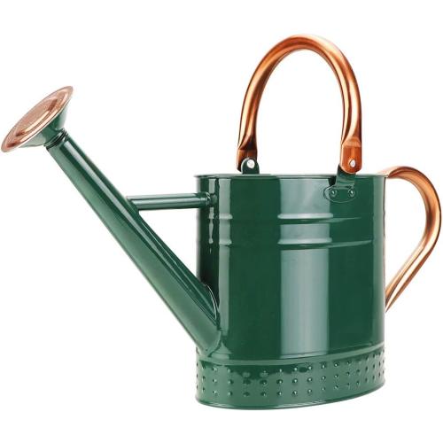 1 Gallon Metal Watering Can with Removable Spout, Nice Galvanized Steel Water Can with Embossed Design for Indoor and Outdoor Plants