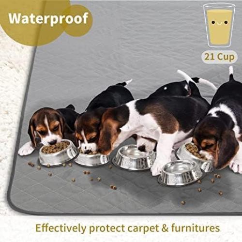 CoolShields Washable Puppy Dog Pee Pad, 48 X65 Extra Large, Waterproof Whelping Training Pet Mat for Playpen, Crate, Potty, Floor, Bed, Sofa and Trunk, Reusable Pee Pads for Dogs, Cats, Bunny