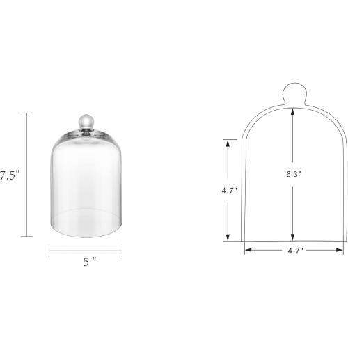 7.5 Tall Handmade Glass Cloche, Thick & Sturdy, Dia 5xH 7.5, For Terrarium, Plants, Trinkets, Cakes, Figurines, LED Light String, Candle. Cloche Glass Dome, Bell Jar Display Case (1, 5.12x7.48)