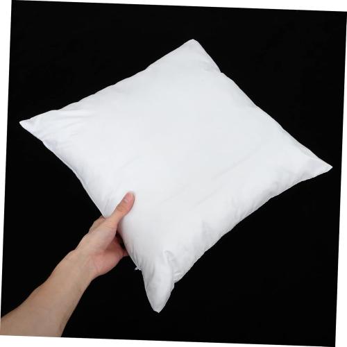 Pillow  for Home Decor Soft Polyester (24 x24, Set Of 2)
