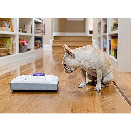 Neato Robotics Botvac 80 Vacuum Cleaner With Scheduling; Grey