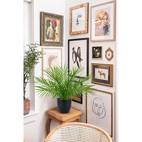Briful Fake Plant 15’’ Artificial Palm Plant in Matte Black Pot Realistic Faux Tropical Palm Tree Houseplant for Home Indoor Living Room Tabletop Bedroom Decorations