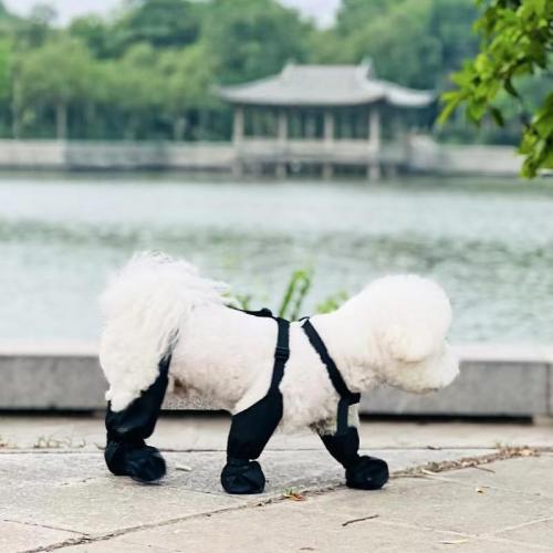 Dog Boots, high top Anti Slip, Anti Fall, Waterproof Dog Shoes, Adjustable Winter Snow Hiking Outdoor Dog Booties.Suitable for Small Medium Dogs Weighing 6-10 kilograms