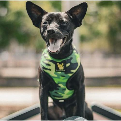EcoBark Dog Harness - Eco-Friendly Max Comfort Harnesses - Luxurious Soft Mesh Halter - Over The Head Harness Vest- No Pull and No Choke for Puppy, Toy Breeds & Small Dogs (Medium, Camo)