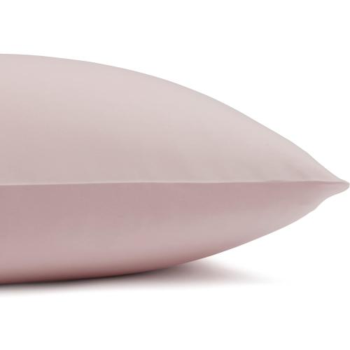 Amazon Basics Lightweight Super Soft Easy Care Microfiber 4-Piece Bed Sheet Set with 14-Inch Deep Pockets, Luxury Bedding, Queen, Blush Pink, Solid