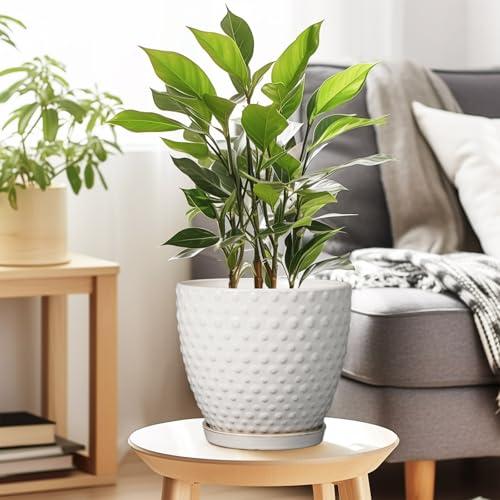 G EPGardening 8 Inch Plant Pot for Indoor Outdoor Plants Round Ceramic Planter Pot with Drainage Hole and Saucer Modern Large Flower Pot White