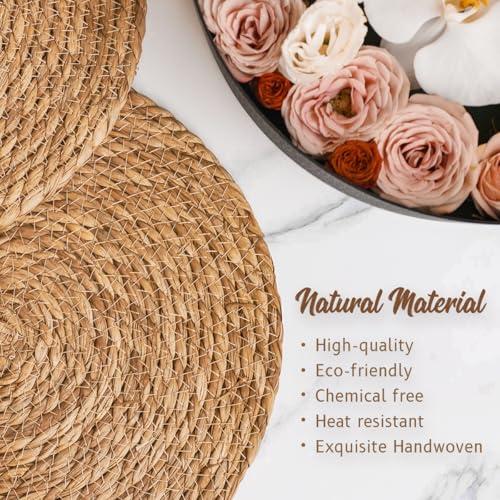 BAVIFY 13 Round Woven Placemats Set of 10, Plate Chargers for Dining Table