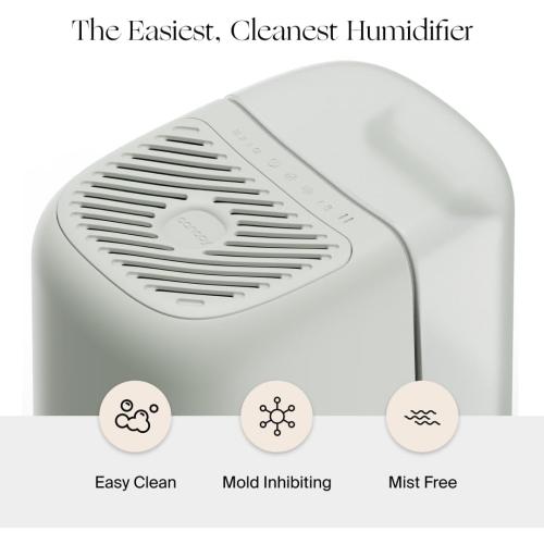 Canopy Bedside Humidifier 2.0, White, 36 HR Run Time, 2.5L Capacity - Reading Light & White Noise - Alleviate Symptoms of Allergies, Flu, Cold, Dry Skin - Humidifier, Filter, Power Cord & Adapter