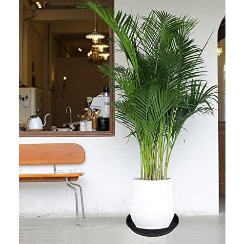 6 Pack of 12 inch Plant Saucer, Heavy Duty Plastic Plant Saucer 12 inch Round, Plant Tray for Pots, Flower Saucers for Indoors, Garden Plate Bowls, Trays for Planter 10/11/12 (Black)