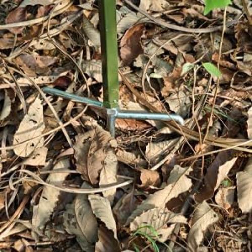 Trail Camera Stand 1/4 Tripod Multi-Pivot Stable Rugged Steel Hunting Trail Camera & Solar Pak Battery Mounting Post (2)