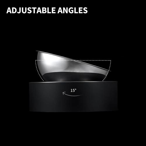 PETKIT CYBERTAIL - Stainless Steel Raised Bowl - Inclined Food and Feeding Bowls, Non-Slip, No Spill for Cats and Small Dogs