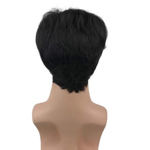 Aimole Mens Wigs Short Black Straight Hair Synthetic Full Wig(2 Black)