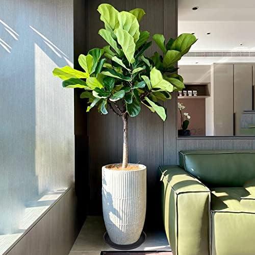 6 Pack of 12 inch Plant Saucer, Heavy Duty Plastic Plant Saucer 12 inch Round, Plant Tray for Pots, Flower Saucers for Indoors, Garden Plate Bowls, Trays for Planter 10/11/12 (Black)