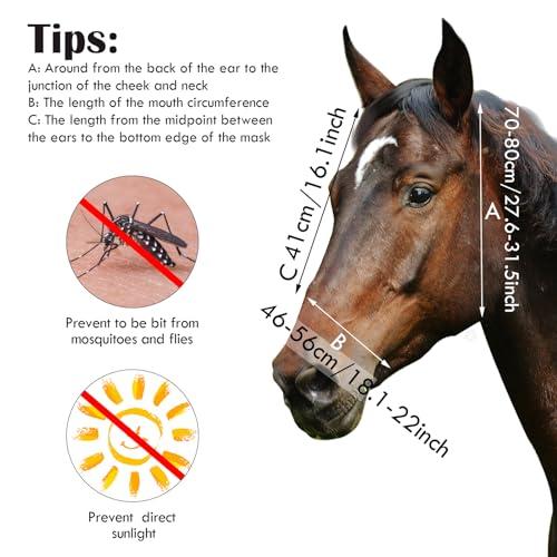 Sanwuta 12 Pcs Horse Fly Masks with Ears, Breathable Mesh UV Protection Horse Face Masks, Soft Elastic Comfortable Fit for Riding Outdoor Summer Supplies Bulk (Medium)