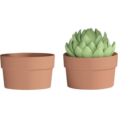 Fcacti 10 Inch Terracotta Shallow Succulent Pot - 2 Pack Large Terra Cotta Clay Pots with Drainage, Round Shallow Terra-Cotta Bonsai Pot for Indoor/Outdoor Plants