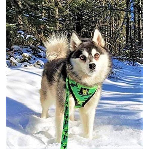 EcoBark Dog Harness - Eco-Friendly Max Comfort Harnesses - Luxurious Soft Mesh Halter - Over The Head Harness Vest- No Pull and No Choke for Puppy, Toy Breeds & Small Dogs (Medium, Camo)