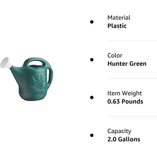 Root & Vessel Classic 2-Gallon Watering Can Outdoor, Hunter Green