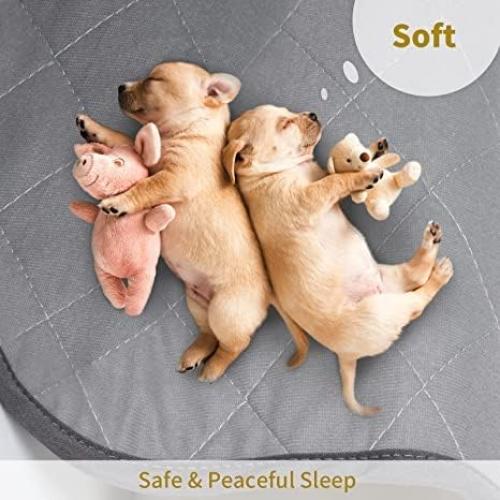 CoolShields Washable Puppy Dog Pee Pad, 48 X65 Extra Large, Waterproof Whelping Training Pet Mat for Playpen, Crate, Potty, Floor, Bed, Sofa and Trunk, Reusable Pee Pads for Dogs, Cats, Bunny