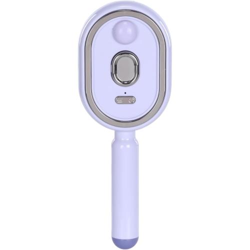 Electric Steam Brush with Water Spray Rechargeable Steams Hair Straightener USB-C Charging Anti-Static Red Light Hair Brush for Detangling Smoothing Styling & Frizz Control (Purple 3) (3 Purple)