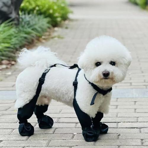 Dog Boots, high top Anti Slip, Anti Fall, Waterproof Dog Shoes, Adjustable Winter Snow Hiking Outdoor Dog Booties.Suitable for Small Medium Dogs Weighing 6-10 kilograms
