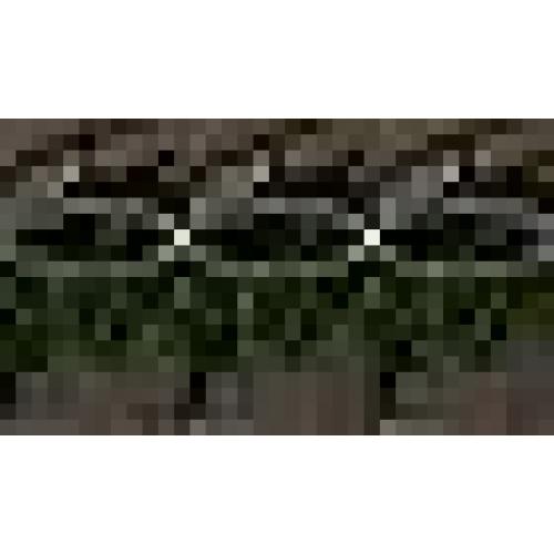 20 Outdoor Ceiling Fan, IP65 Waterproof Gazebo Fan with Light, Remote Control，6 Speeds，3CCT, Plug in Caged Ceiling Fan with Hanging Hook for Patio, Porch, Canopy