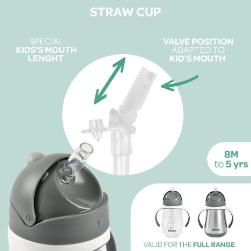 Beaba Stainless Steel Straw Sippy Cup, Insulated Toddler Cups Spill Proof with Removable Handles, Made with High Grade Stainless Steel, 8  months, 8.5 oz (Rain)