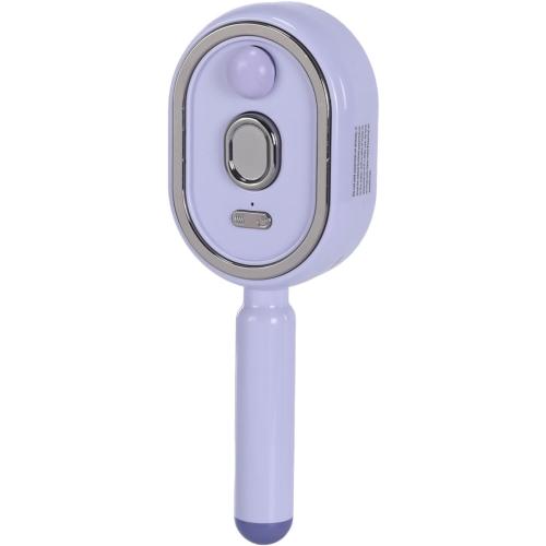 Electric Steam Brush with Water Spray Rechargeable Steams Hair Straightener USB-C Charging Anti-Static Red Light Hair Brush for Detangling Smoothing Styling & Frizz Control (Purple 3) (3 Purple)