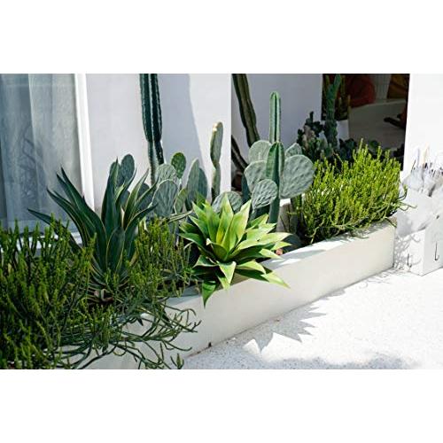 Velener Artificial Agave Plant Set,18 Inch, Faux Aesthetic Plants for Home Decor, Realistic UV Resistant Fake Agave Plants Without Pot, Set of 2