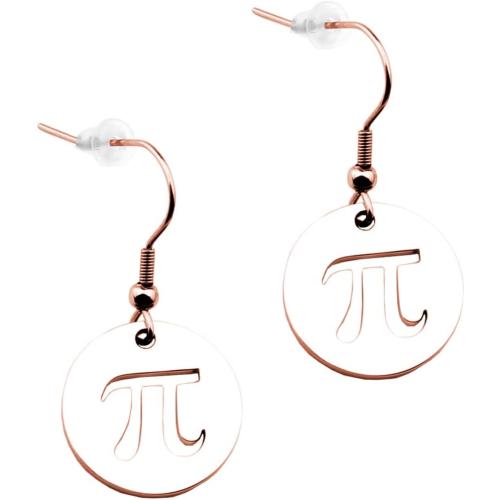 3.14 Pi Earring Stainless Steel Disc Cutout Pi Teacher Geek Nerd Gift