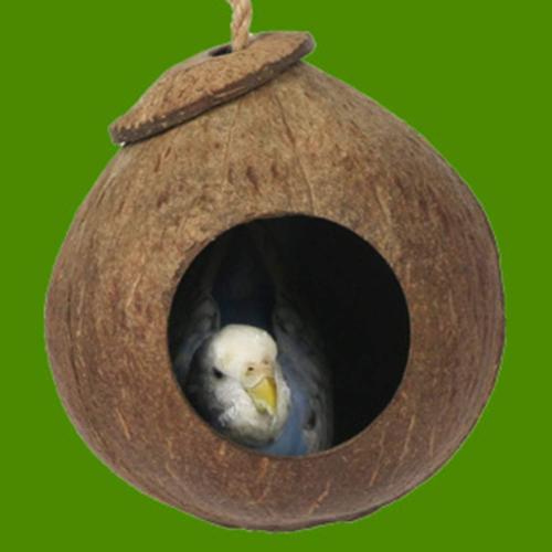 Brown Hide with Ladder Natural Fiber Hanging Birdhouse Shells Breeding Nest for Parrot