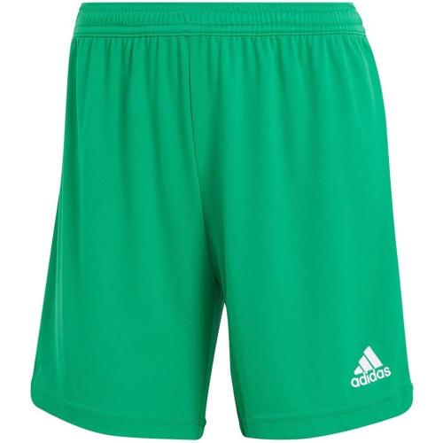 Size large didas Women's