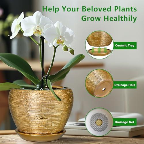 Ceramic Planter 10 Inch - Indoor Plant Pot with Drainage Hole and Saucer Large Decorative Planter Mid-Century Modern Flower Pot Outdoor for Home Decor Gold